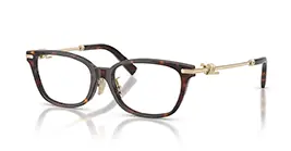 Tiffany&co TF2281-F 8015 s51