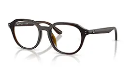 Ray-Ban RB7259D 8502 s52
