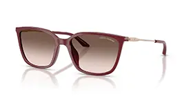 Armani Exchange AX4171SU 8387/3B s55