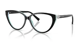 Tiffany&co TF2292-F 8055 s55