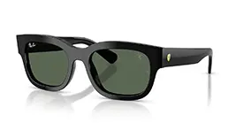 Ray-Ban RB2228-M F601/71 s53