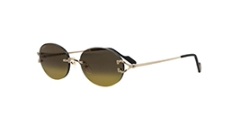 Cartier CT0551S 009 s55