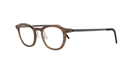 Lindberg 1866-207 H16-10 s47 Buffalo