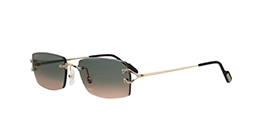 Cartier CT0550S 009 s56