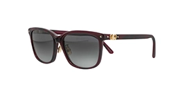 Dior Petit CD S2F CD40236F 25A1 s57