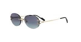 Cartier CT0551S 008 s55