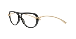Bottega Veneta BV1418S 006 s58