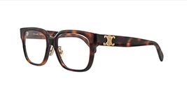 Celine CL50172F 053 s54